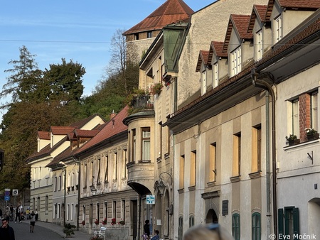 Skriti vrtovi Šutne odprli svoja vrata (9)